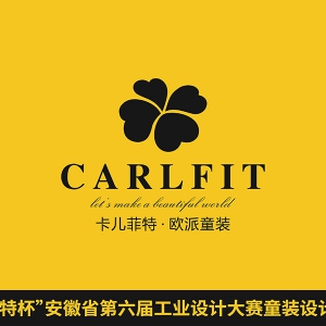 CARLFITʡ칤ҵƴͯװר